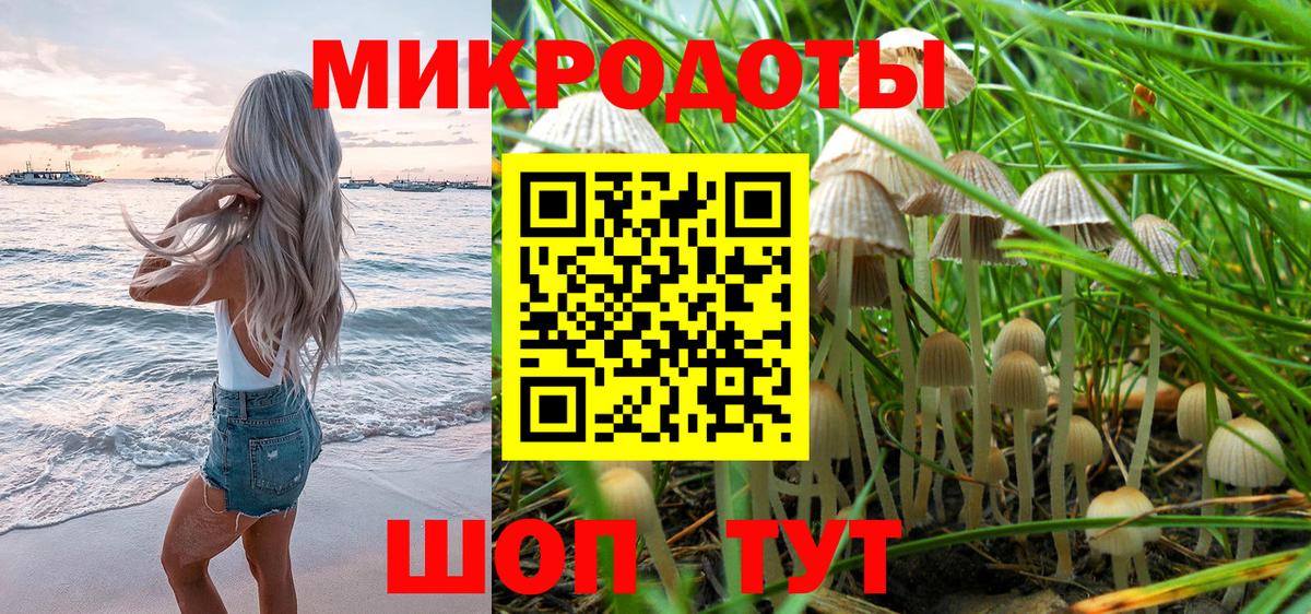 Псилоцибиновые грибы Cubensis Барнаул